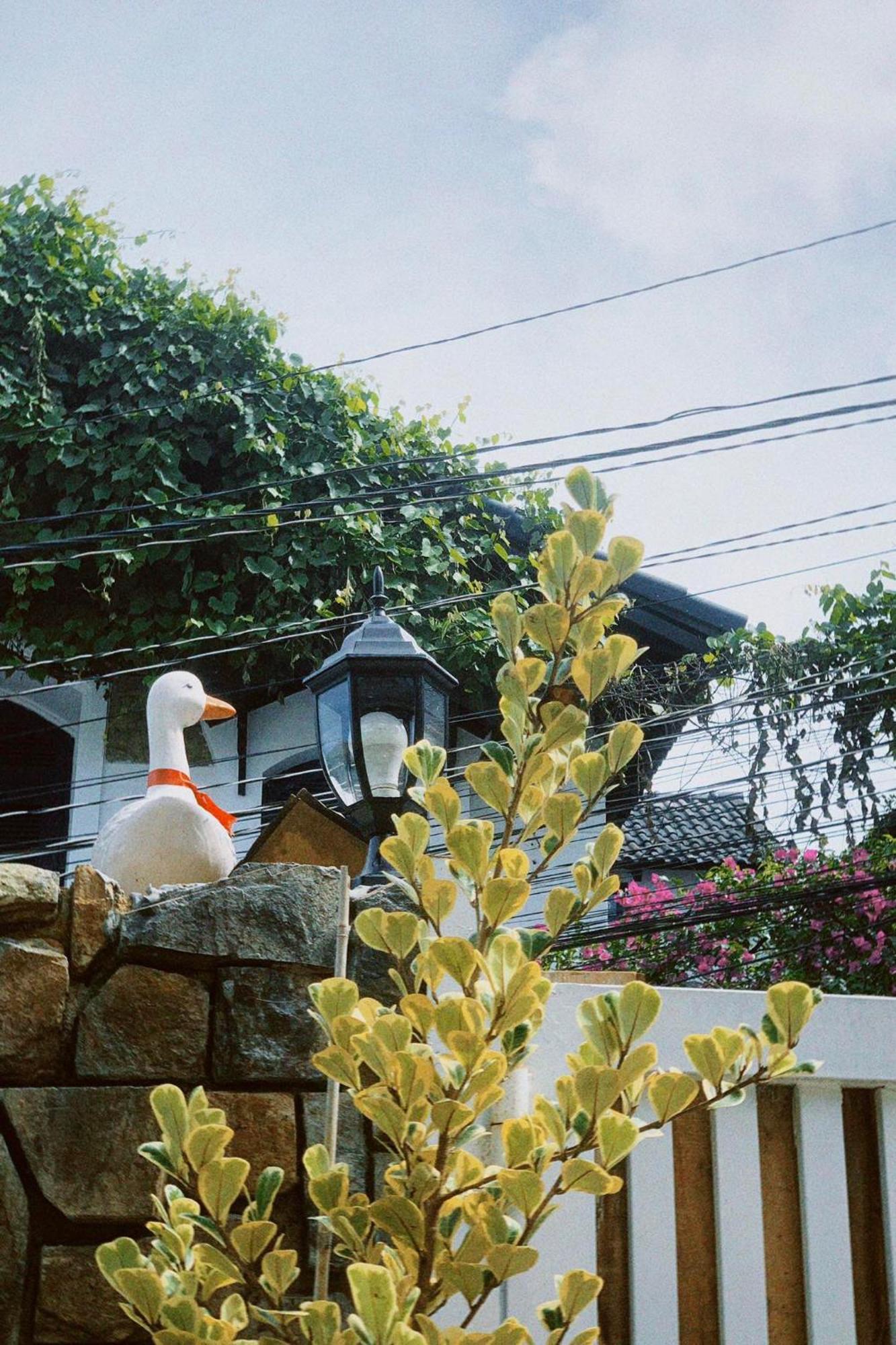 Chai Nho Homestay Далат Екстер'єр фото